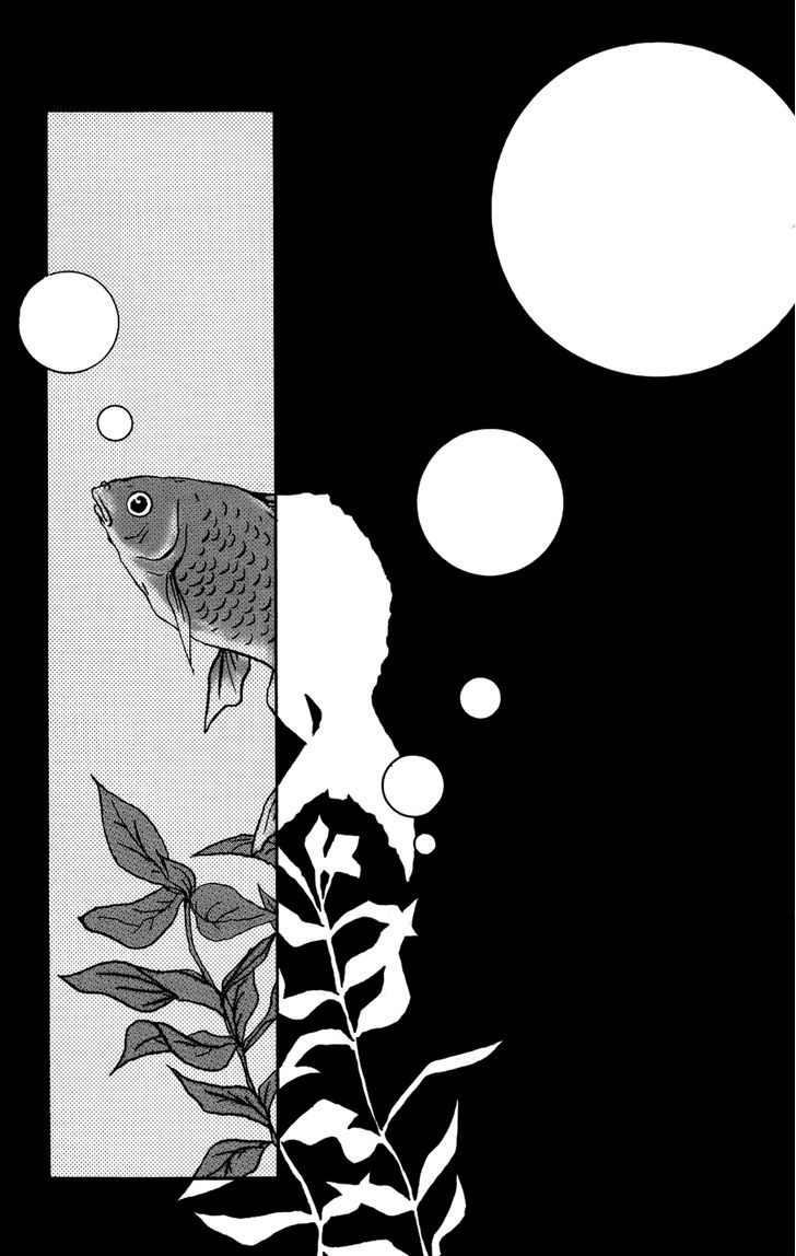 Itoshi Kingyo Chapter 1 page 22 - Chapter 1 : Beloved Goldfish