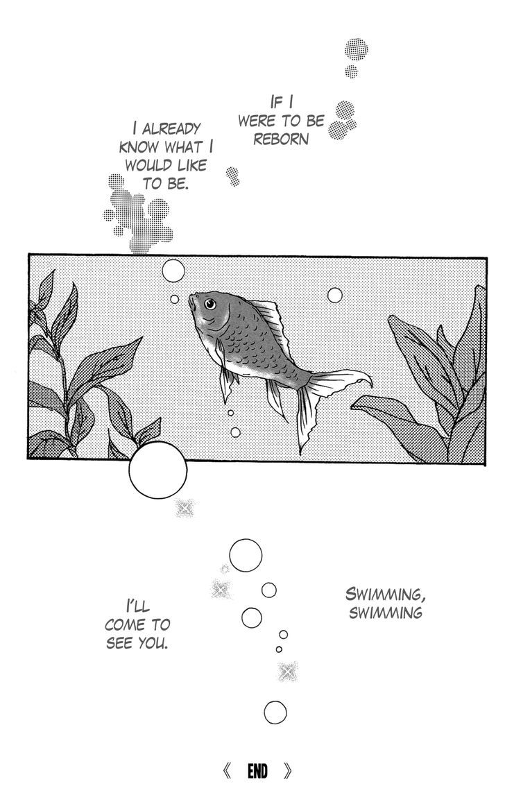Itoshi Kingyo Chapter 1 page 41 - Chapter 1 : Beloved Goldfish