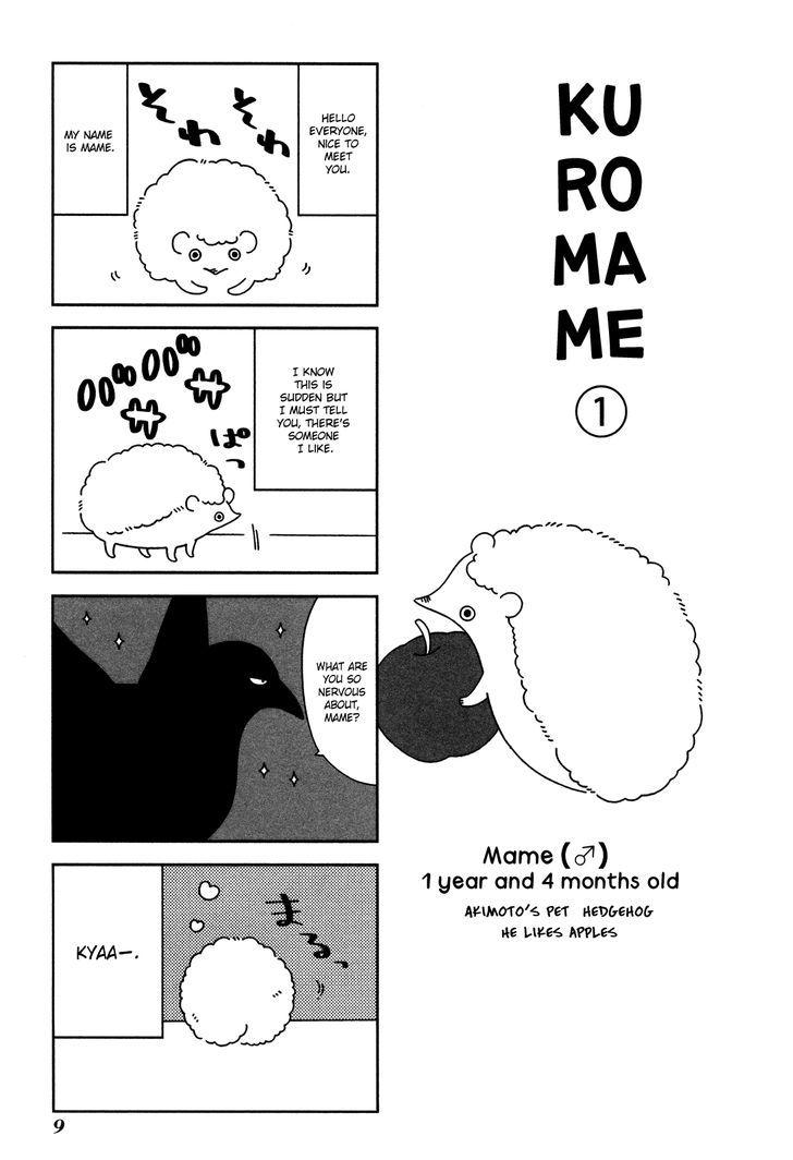 Itoshi no Aneri Chapter 1 page 11 - Chapter 1