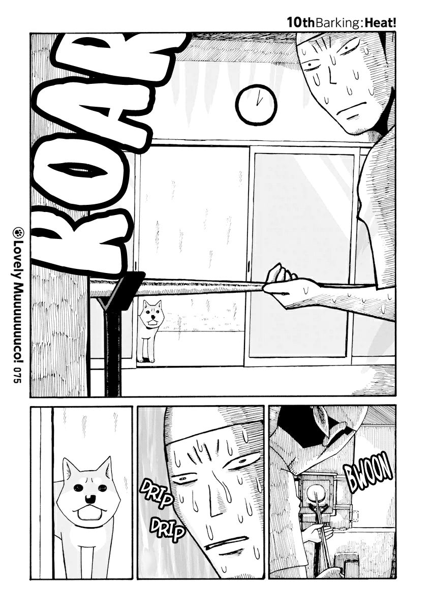 Itoshi no Muco Chapter 10 page 1 - Chapter 10 : 10thBarking : Heat!