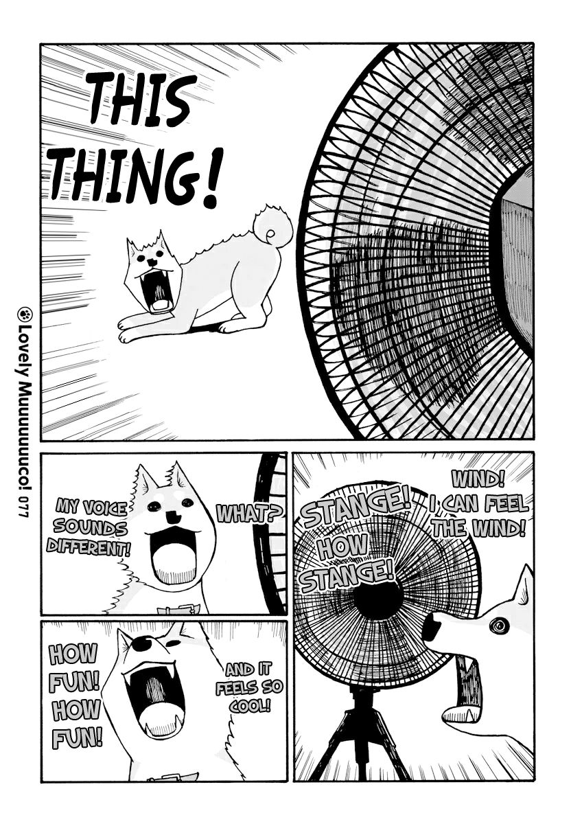 Itoshi no Muco Chapter 10 page 3 - Chapter 10 : 10thBarking : Heat!