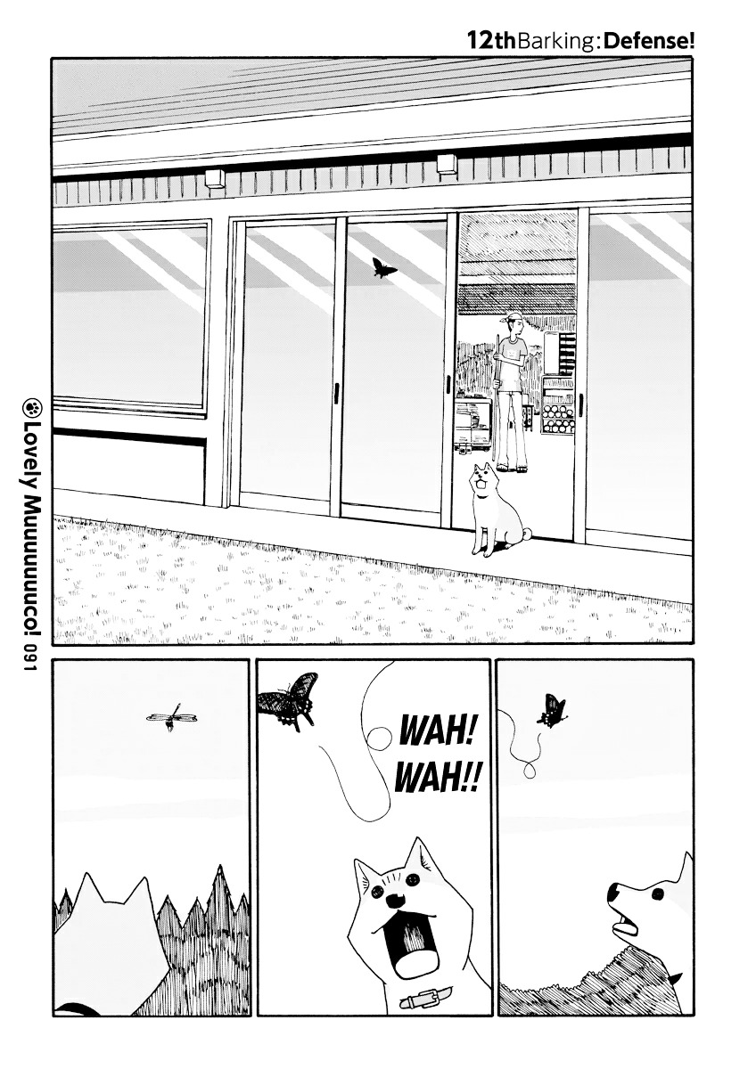 Itoshi no Muco Chapter 12 page 1 - Chapter 12 : 12thBarking : Defense!