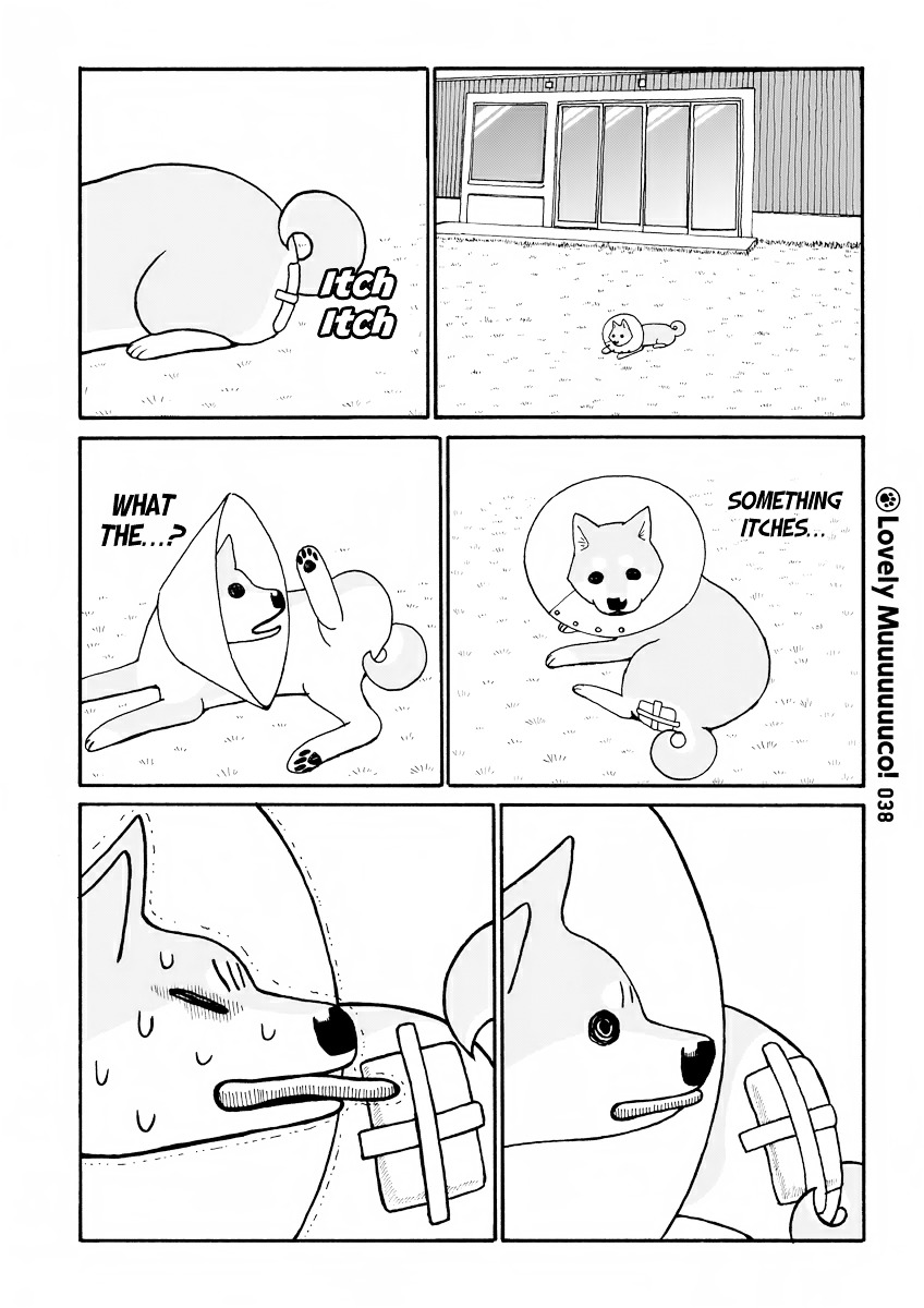 Itoshi no Muco Chapter 5 page 4 - Chapter 5 : 5thBarking : Fashion!