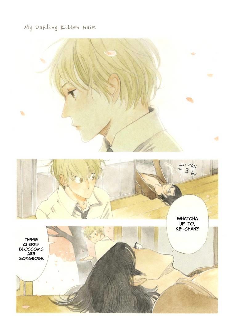 Itoshi no Nekokke Chapter 1 page 1 - Chapter 1 : Kitty Moves to Tokyo
