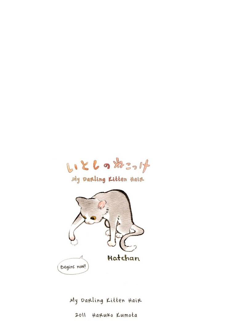 Itoshi no Nekokke Chapter 1 page 6 - Chapter 1 : Kitty Moves to Tokyo