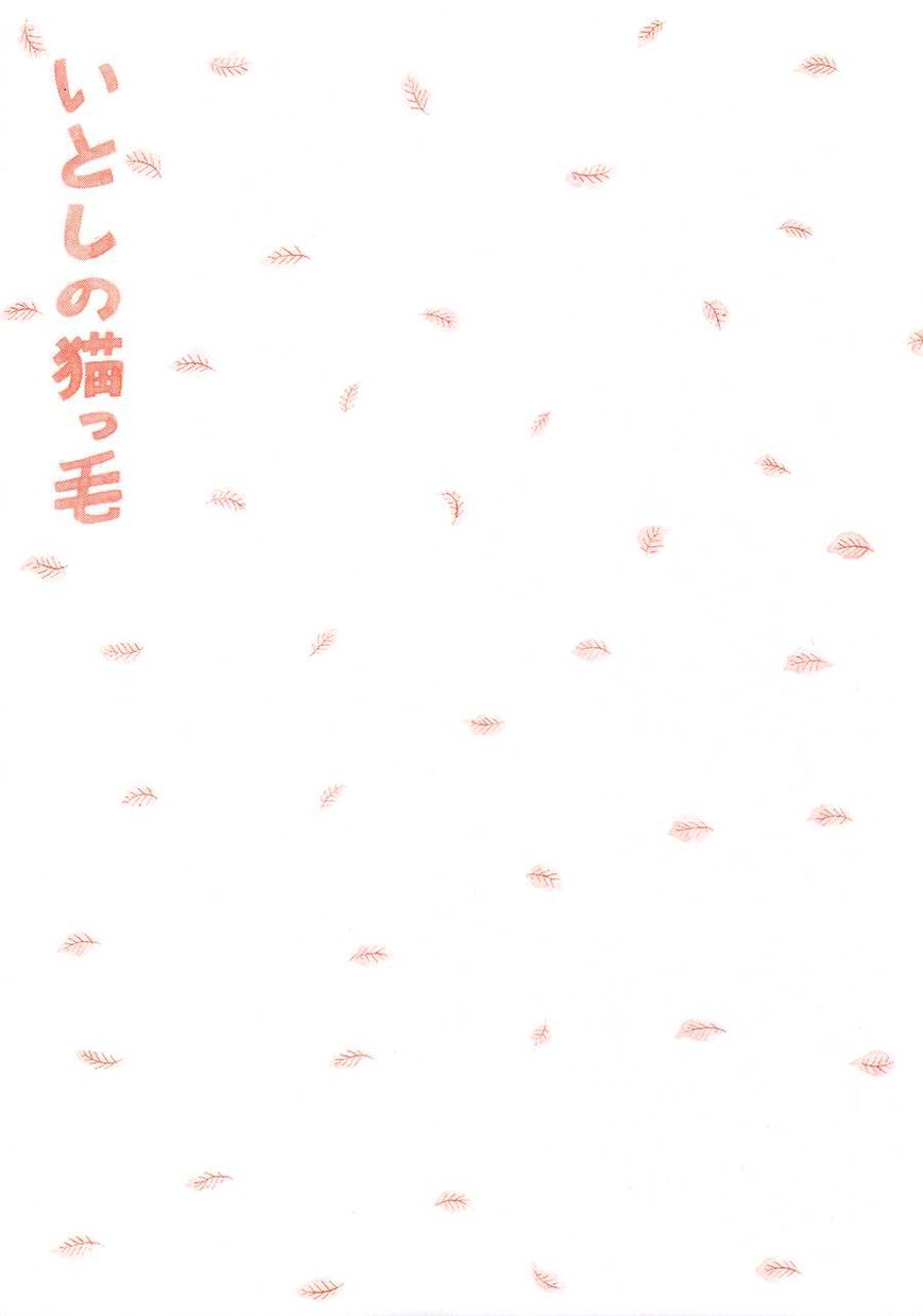 Itoshi no Nekokke Chapter 18 page 6 - Chapter 18 : It's all the Same