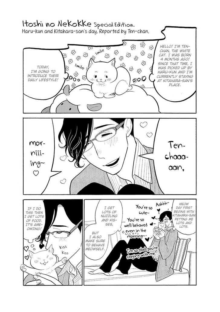 Itoshi no Nekokke Chapter 33 page 21 - Chapter 33 : chapter33+special