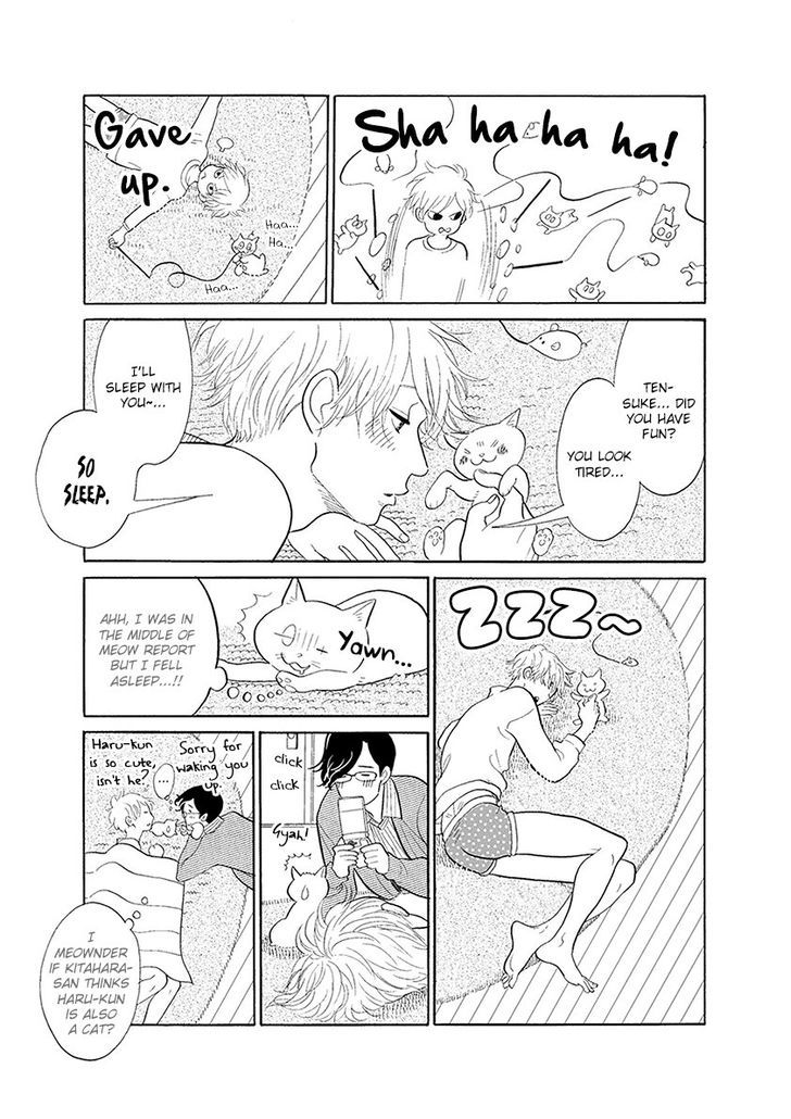 Itoshi no Nekokke Chapter 33 page 23 - Chapter 33 : chapter33+special