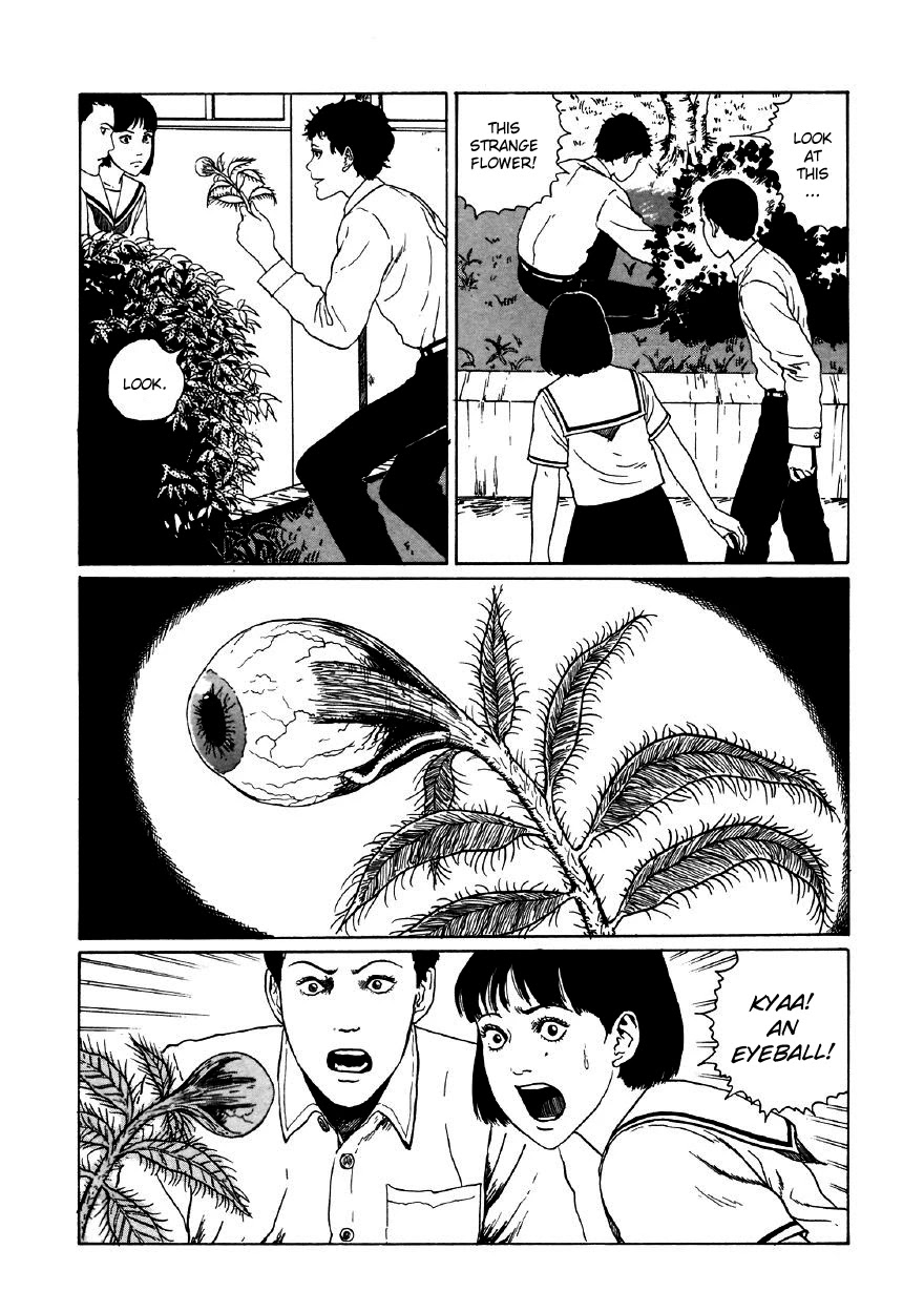 Itou Junji Kyoufu Manga Collection Chapter 11.5 page 12 - Vol.11 Chapter 5: The Supernatural Transfer Student