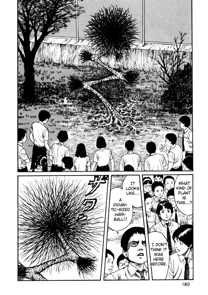Itou Junji Kyoufu Manga Collection Chapter 14.4 page 46 - Vol.14 Chapter 4: Drifting Spores