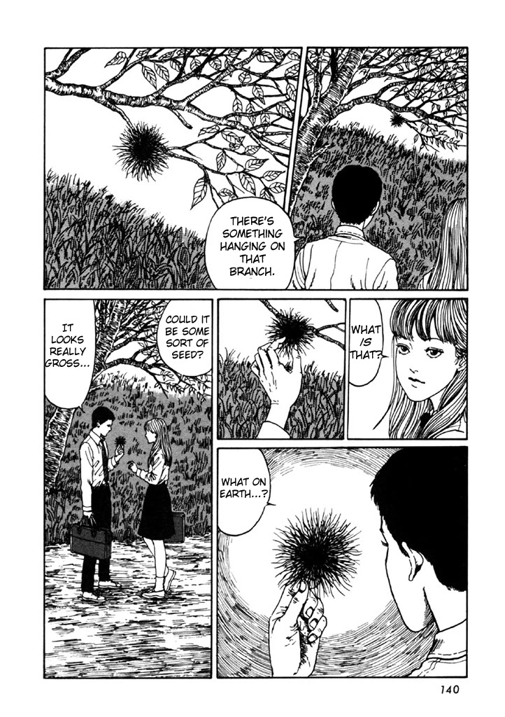 Itou Junji Kyoufu Manga Collection Chapter 14.4 page 6 - Vol.14 Chapter 4: Drifting Spores
