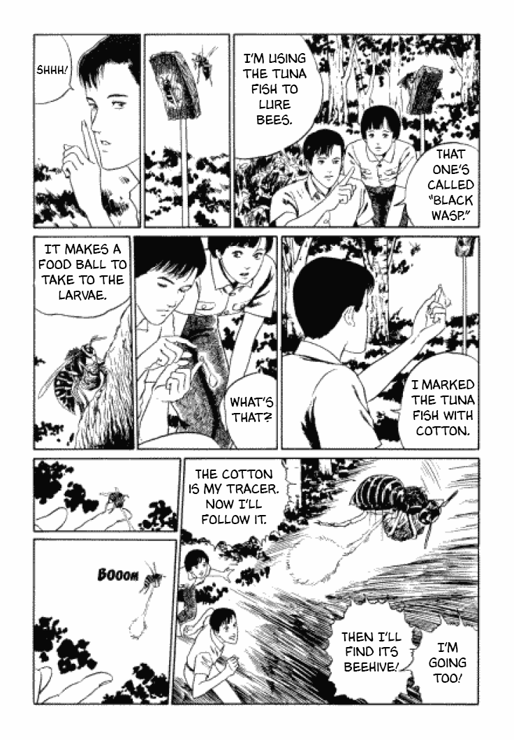 Itou Junji Kyoufu Manga Collection Chapter 3.3 page 17 - Vol.3 Chapter 3: Beehive