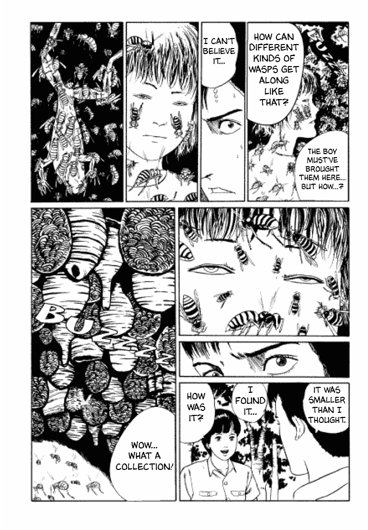 Itou Junji Kyoufu Manga Collection Chapter 3.3 page 21 - Vol.3 Chapter 3: Beehive