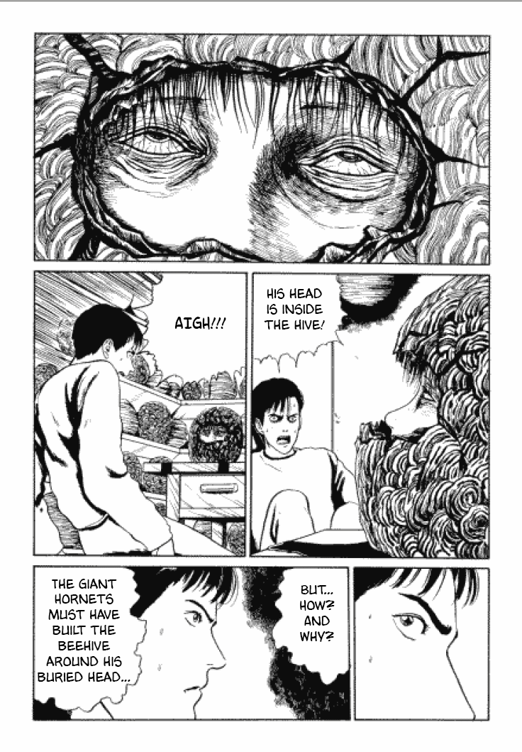 Itou Junji Kyoufu Manga Collection Chapter 3.3 page 30 - Vol.3 Chapter 3: Beehive