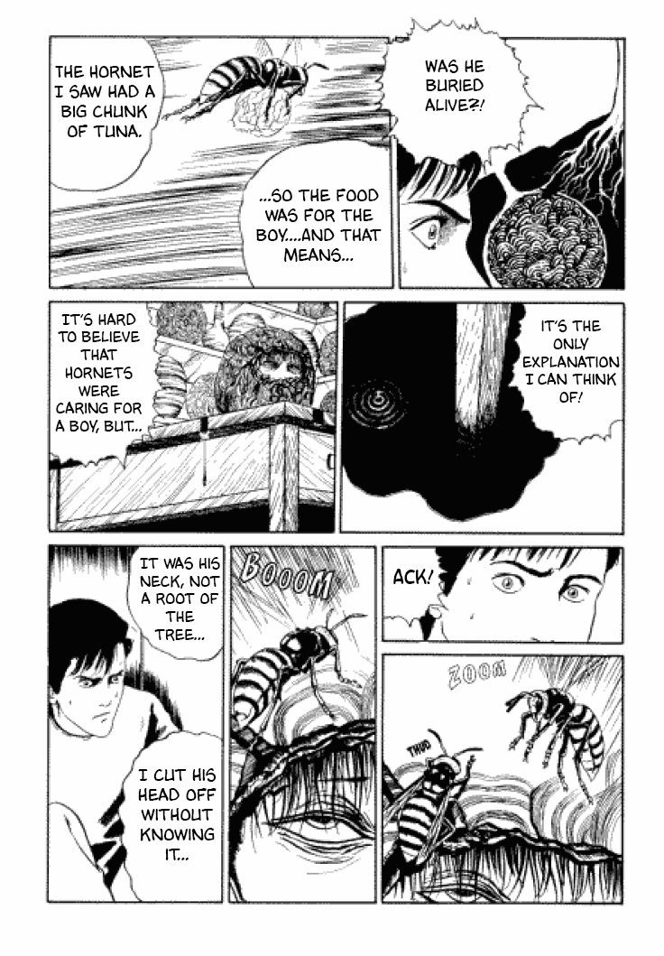 Itou Junji Kyoufu Manga Collection Chapter 3.3 page 31 - Vol.3 Chapter 3: Beehive
