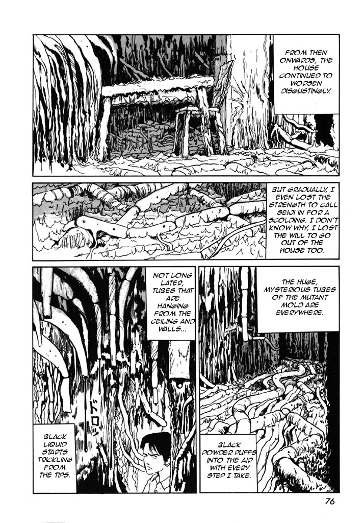 Itou Junji Kyoufu Manga Collection Chapter 7.3 page 34 - Vol.7 Chapter 3: Mold