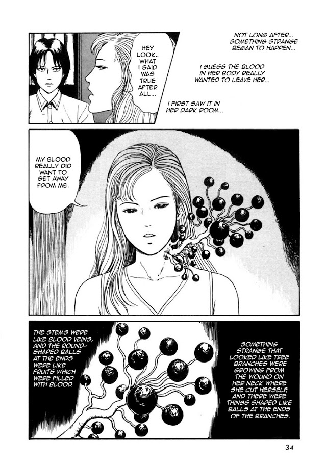 Itou Junji Kyoufu Manga Collection Chapter 8.1 page 32 - Vol.8 Chapter 1: Blood-bubble Bushes
