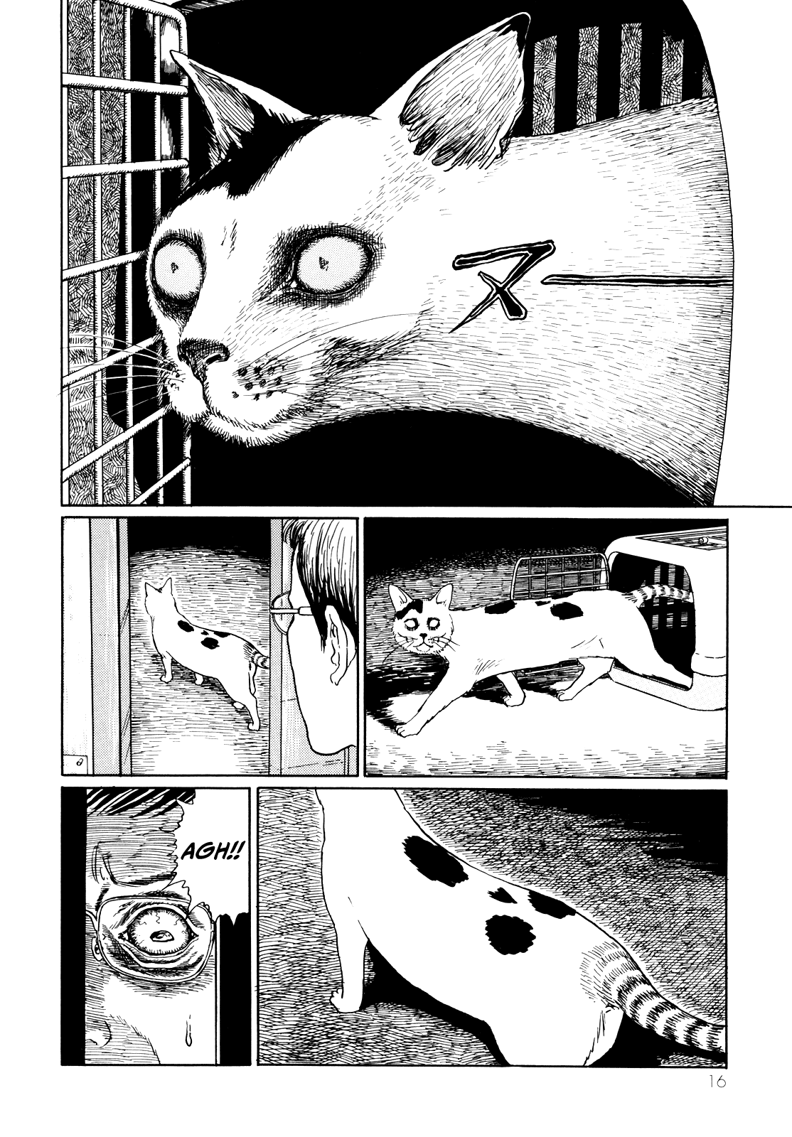 Itou Junji no Neko Nikki: Yon & Mu Chapter 2 page 4 - Chapter 2: Yon Invades