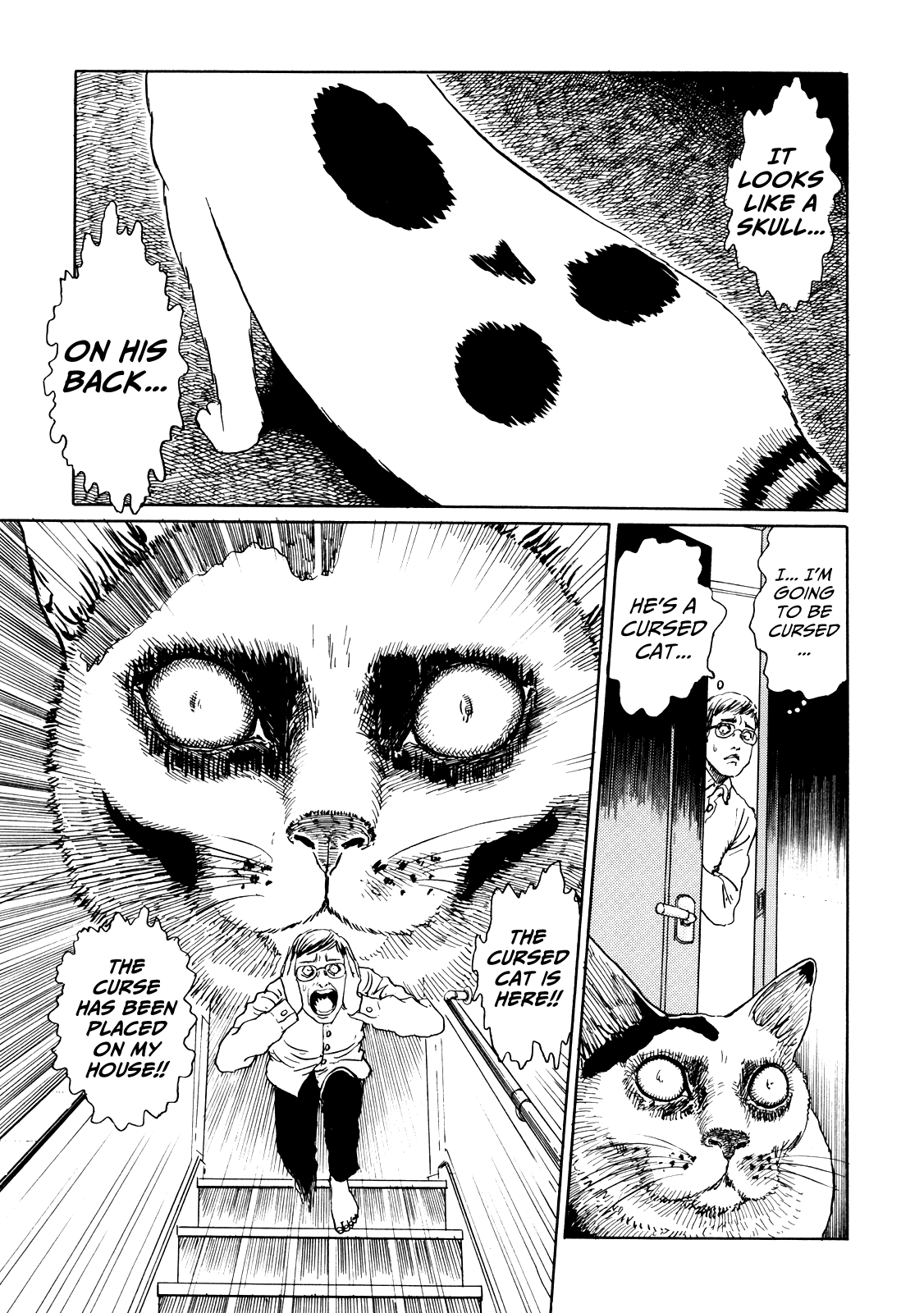 Itou Junji no Neko Nikki: Yon & Mu Chapter 2 page 5 - Chapter 2: Yon Invades