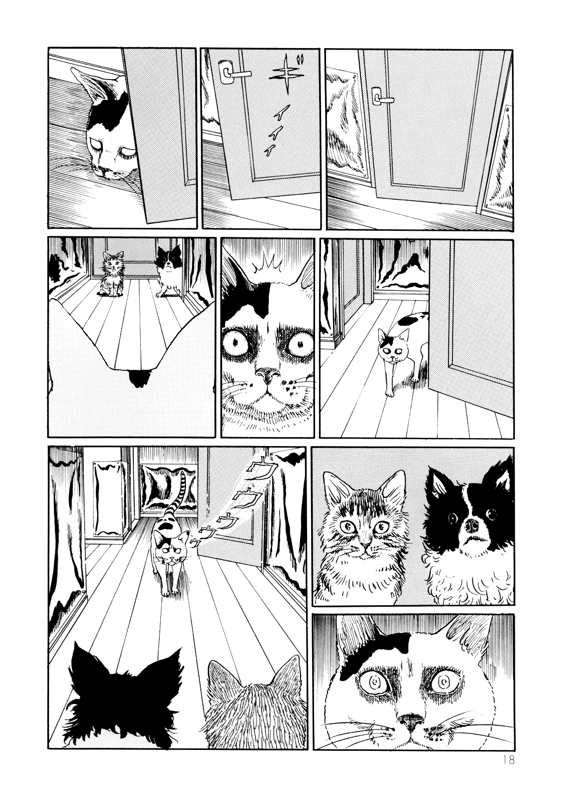 Itou Junji no Neko Nikki: Yon & Mu Chapter 2 page 6 - Chapter 2: Yon Invades