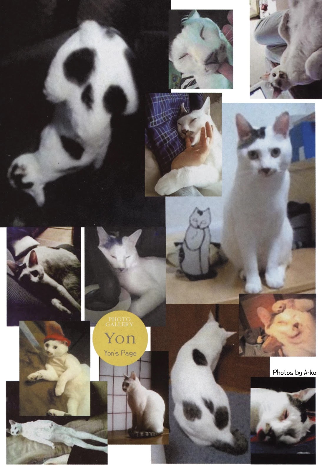 Itou Junji no Neko Nikki: Yon & Mu Chapter 6 page 11 - Chapter 6: Yon's Great Escape
