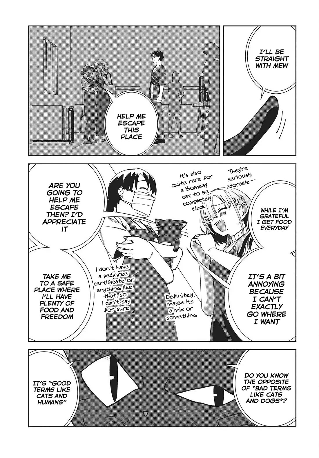 It's So Sweet When I Marry My Organization's Nemesis Chapter 6 page 16 - Chapter 6