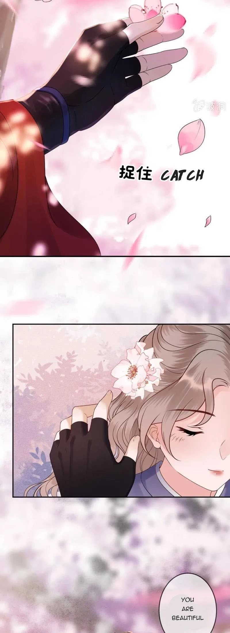 It’s Too Hard to Chase the Tsundere Prince Chapter 211 page 4 - Chapter 211