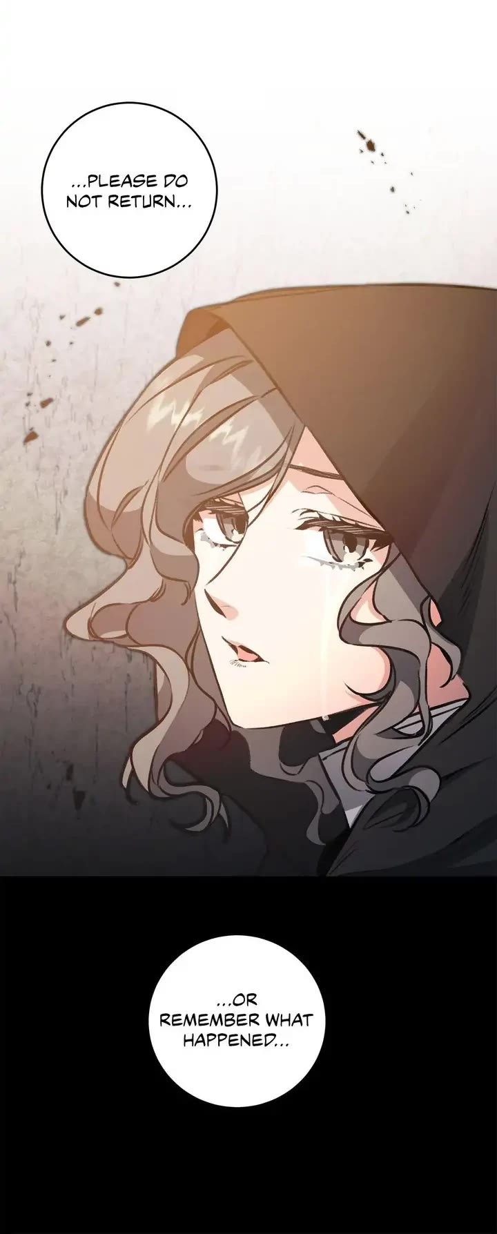 I've Become the Villainous Empress of a Novel Chapter 96 page 27 - Chapter 96
