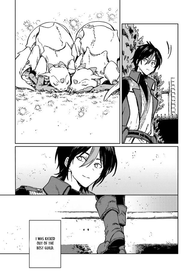 I've Been Kicked Out of an S-Rank Guild. But Only I Can Communicate With Dragons. Before I Knew It, I Became the Greatest Dragon Knight Chapter 1 page 41 - Chapter 1