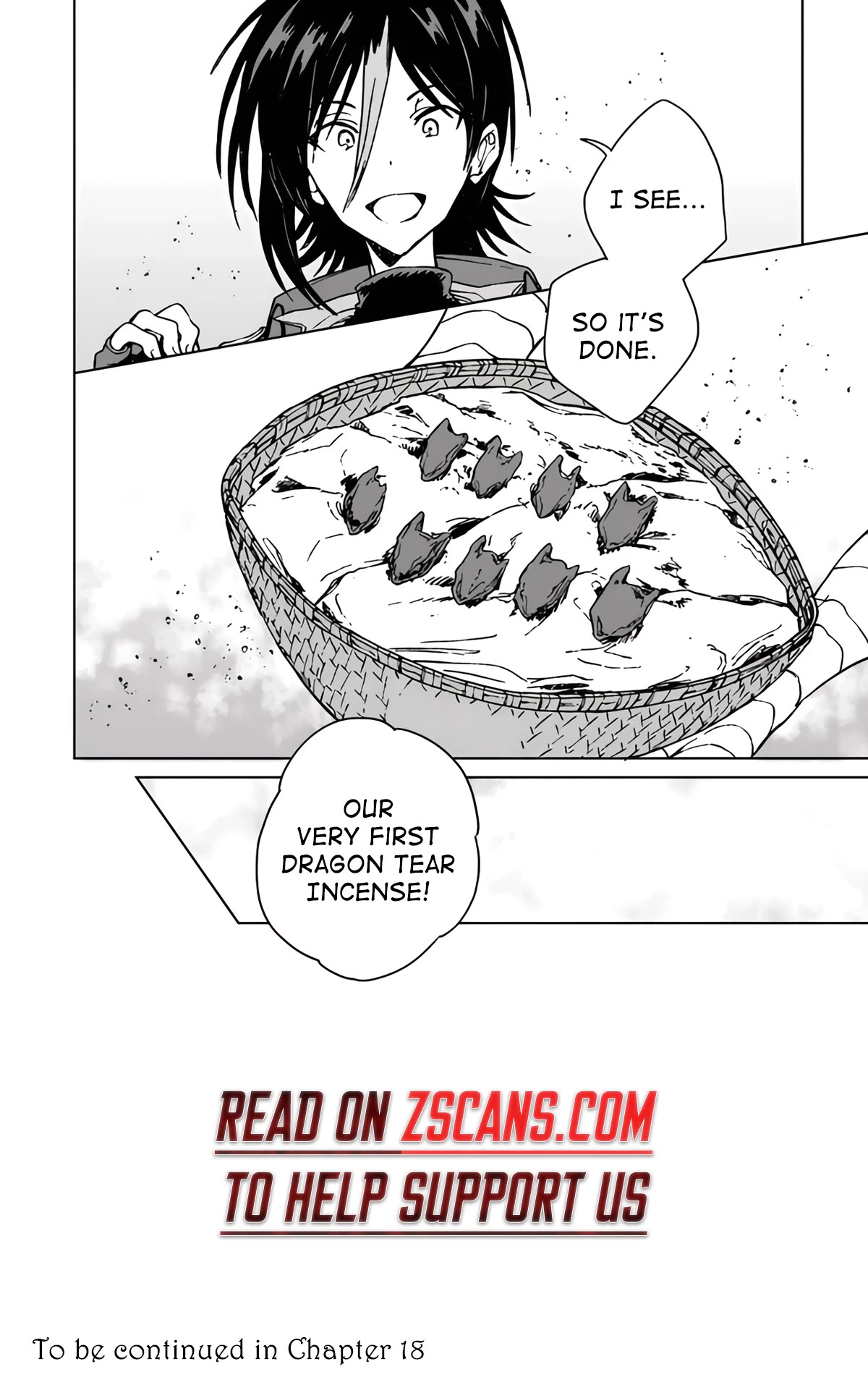 I've Been Kicked Out of an S-Rank Guild. But Only I Can Communicate With Dragons. Before I Knew It, I Became the Greatest Dragon Knight Chapter 17 page 28 - Chapter 17