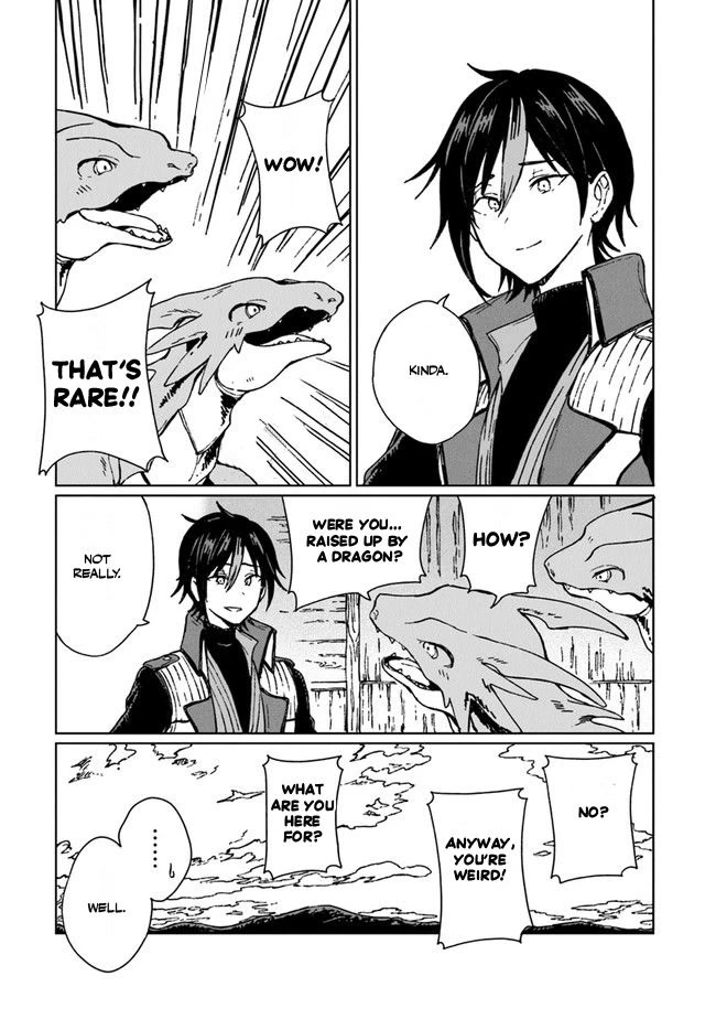 I've Been Kicked Out of an S-Rank Guild. But Only I Can Communicate With Dragons. Before I Knew It, I Became the Greatest Dragon Knight Chapter 2 page 18 - Chapter 2