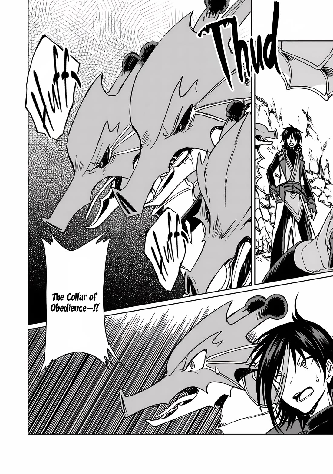 I've Been Kicked Out of an S-Rank Guild. But Only I Can Communicate With Dragons. Before I Knew It, I Became the Greatest Dragon Knight Chapter 20 page 17 - Chapter 20