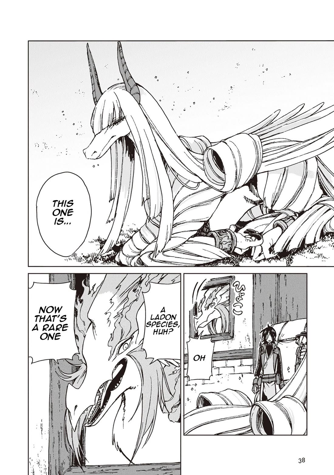 I've Been Kicked Out of an S-Rank Guild. But Only I Can Communicate With Dragons. Before I Knew It, I Became the Greatest Dragon Knight Chapter 25 page 5 - Chapter 25: The Beauty of the Dragon
