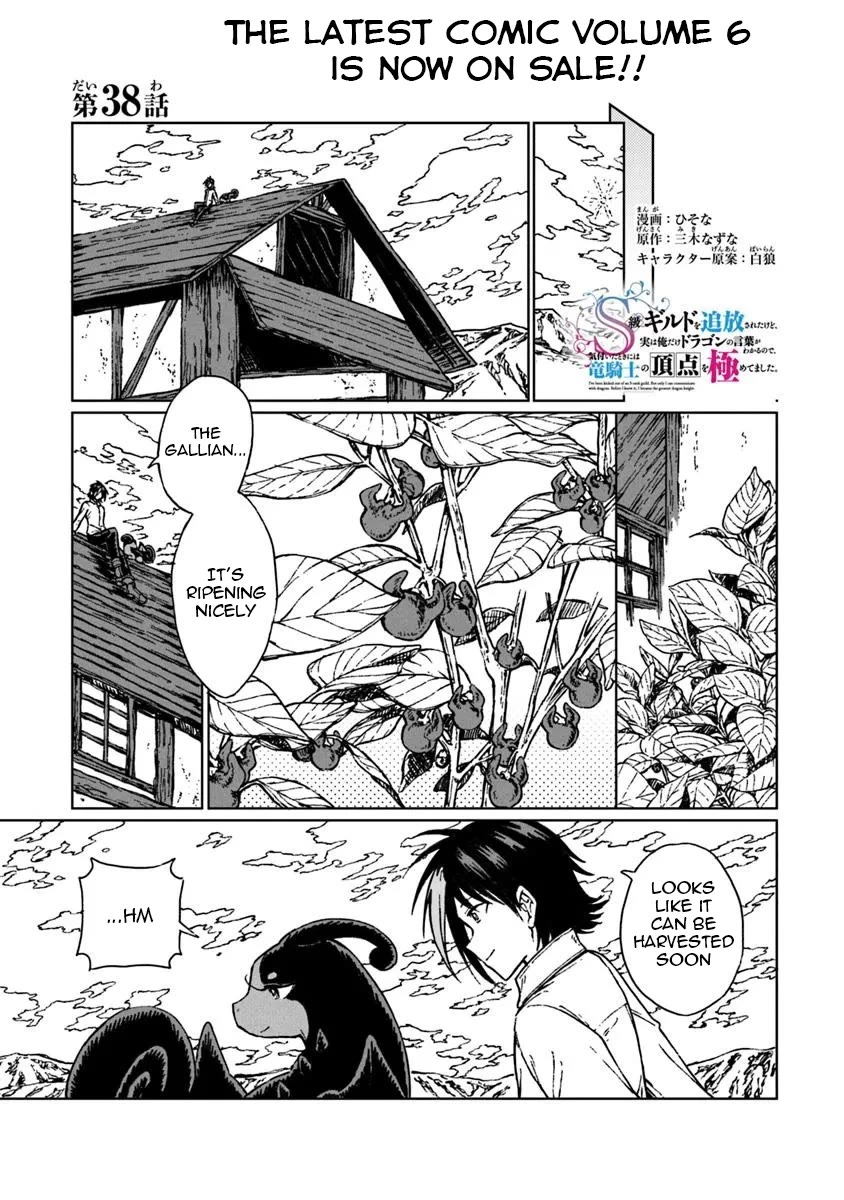 I've Been Kicked Out of an S-Rank Guild. But Only I Can Communicate With Dragons. Before I Knew It, I Became the Greatest Dragon Knight Chapter 38 page 2 - Chapter 38