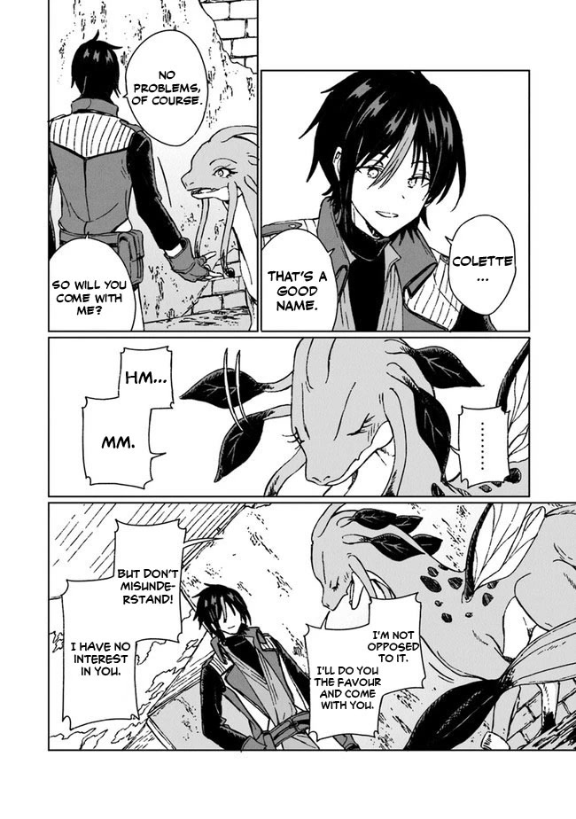 I've Been Kicked Out of an S-Rank Guild. But Only I Can Communicate With Dragons. Before I Knew It, I Became the Greatest Dragon Knight Chapter 6 page 19 - Chapter 6