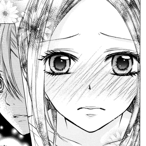 Iya da nante Iwasenai Chapter 5.5: Extra - Reiichi's Side cover