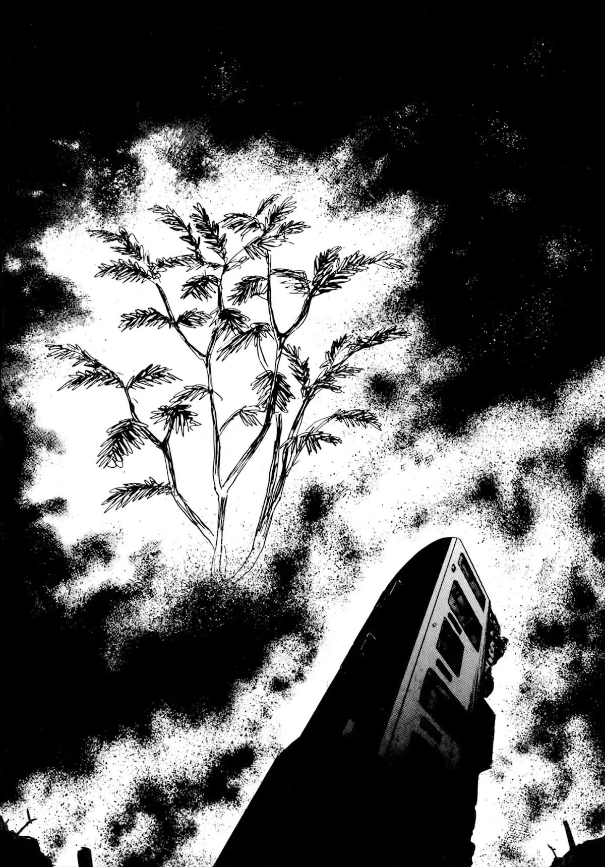 Jacaranda Chapter 3 page 29 - Chapter 3