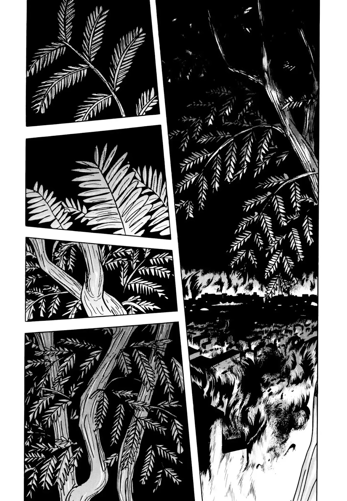 Jacaranda Chapter 3 page 54 - Chapter 3