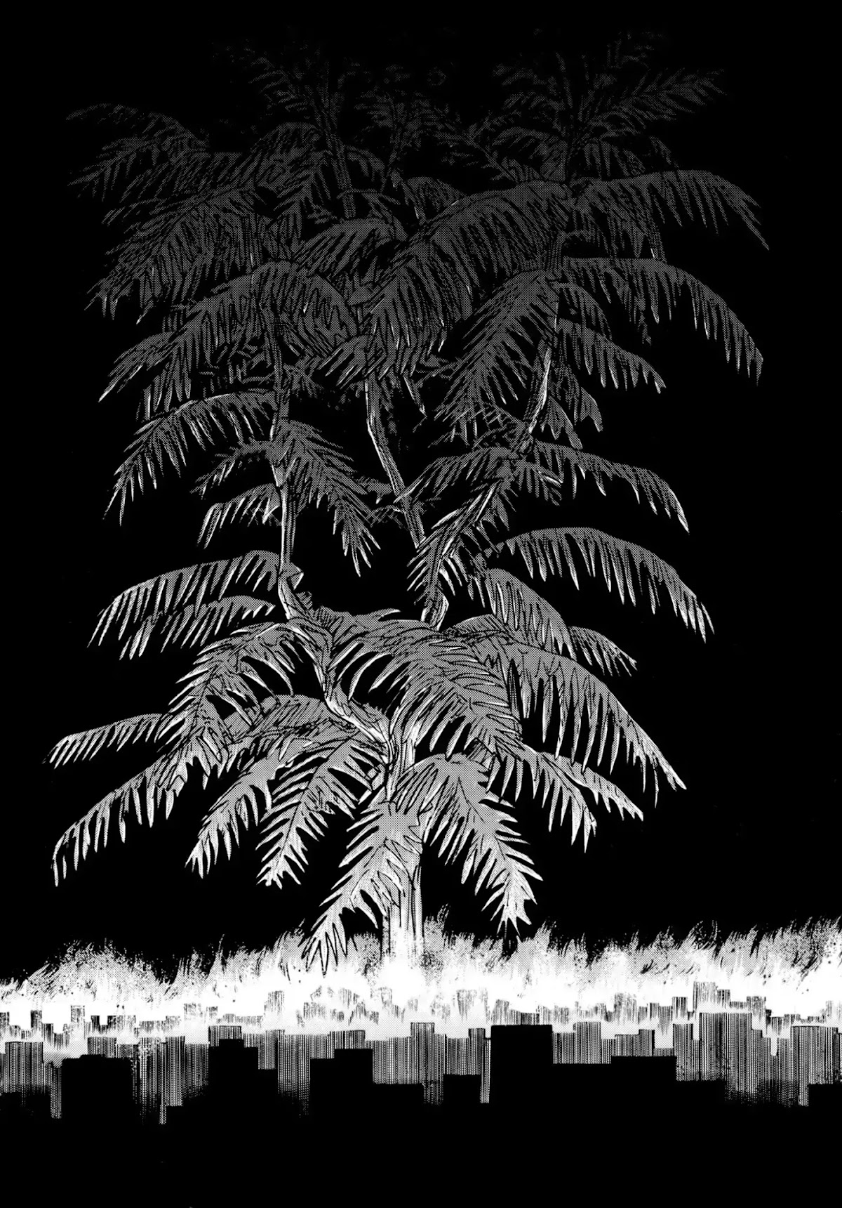 Jacaranda Chapter 3 page 55 - Chapter 3