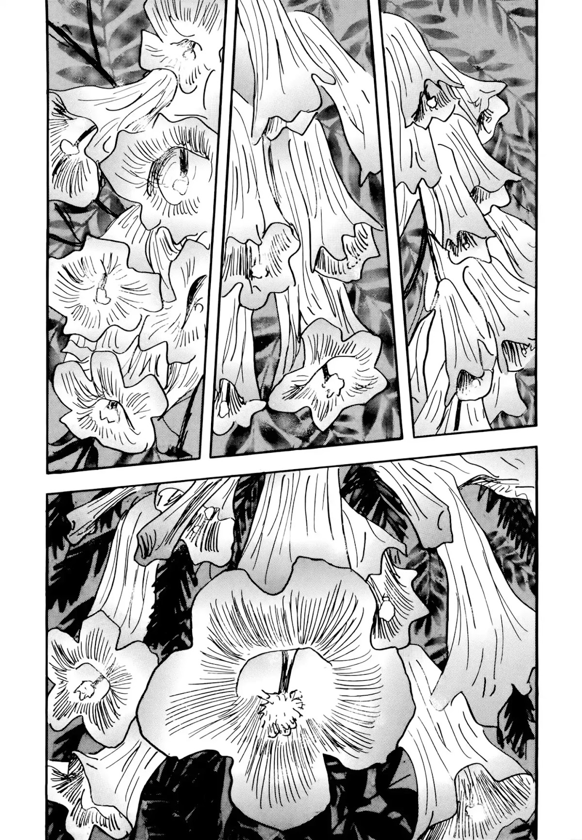 Jacaranda Chapter 5 page 41 - Chapter 5