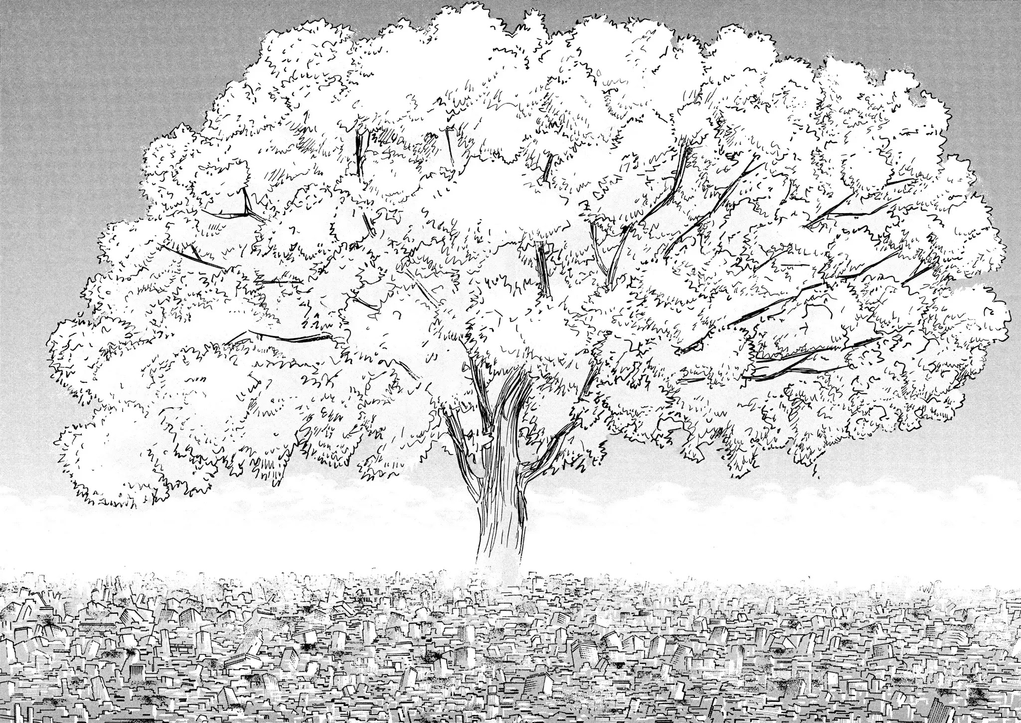 Jacaranda Chapter 5 page 50 - Chapter 5