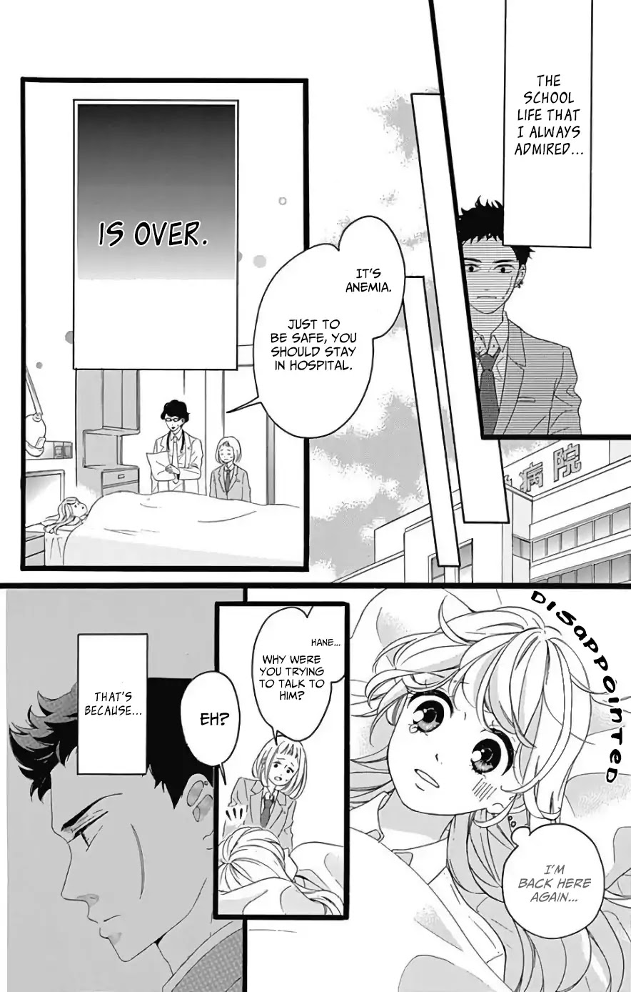 Jewelry - Hane to Kotori no Subarashiki Hibi Chapter 1 page 15 - Chapter 1
