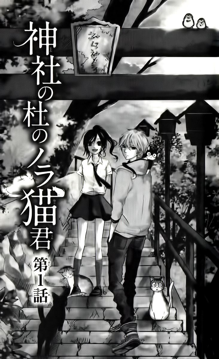 Jinja no Mori no Nora Neko-kun Chapter 1 page 4 - Chapter 1
