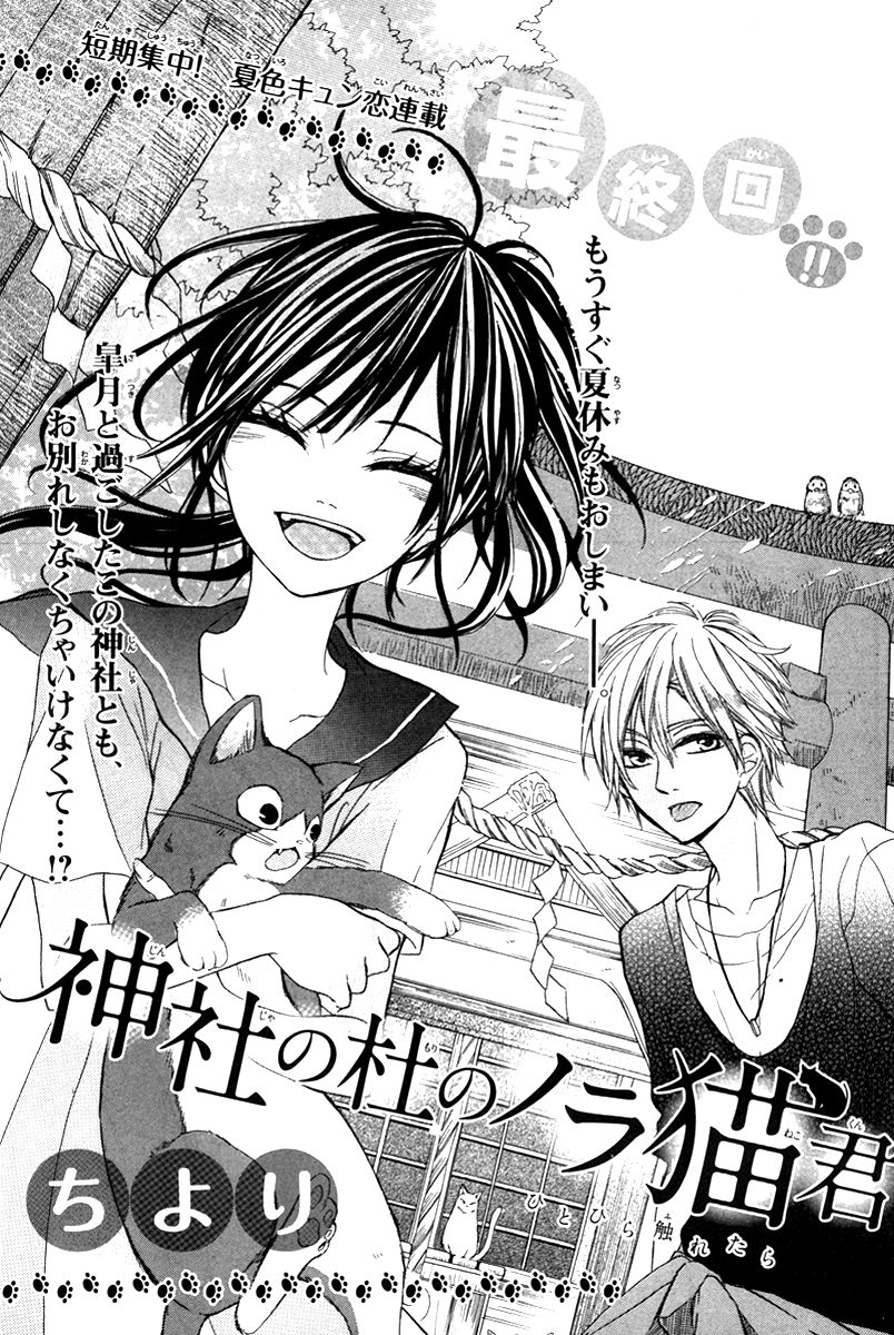 Jinja no Mori no Nora Neko-kun Chapter 3 page 2 - Chapter 3