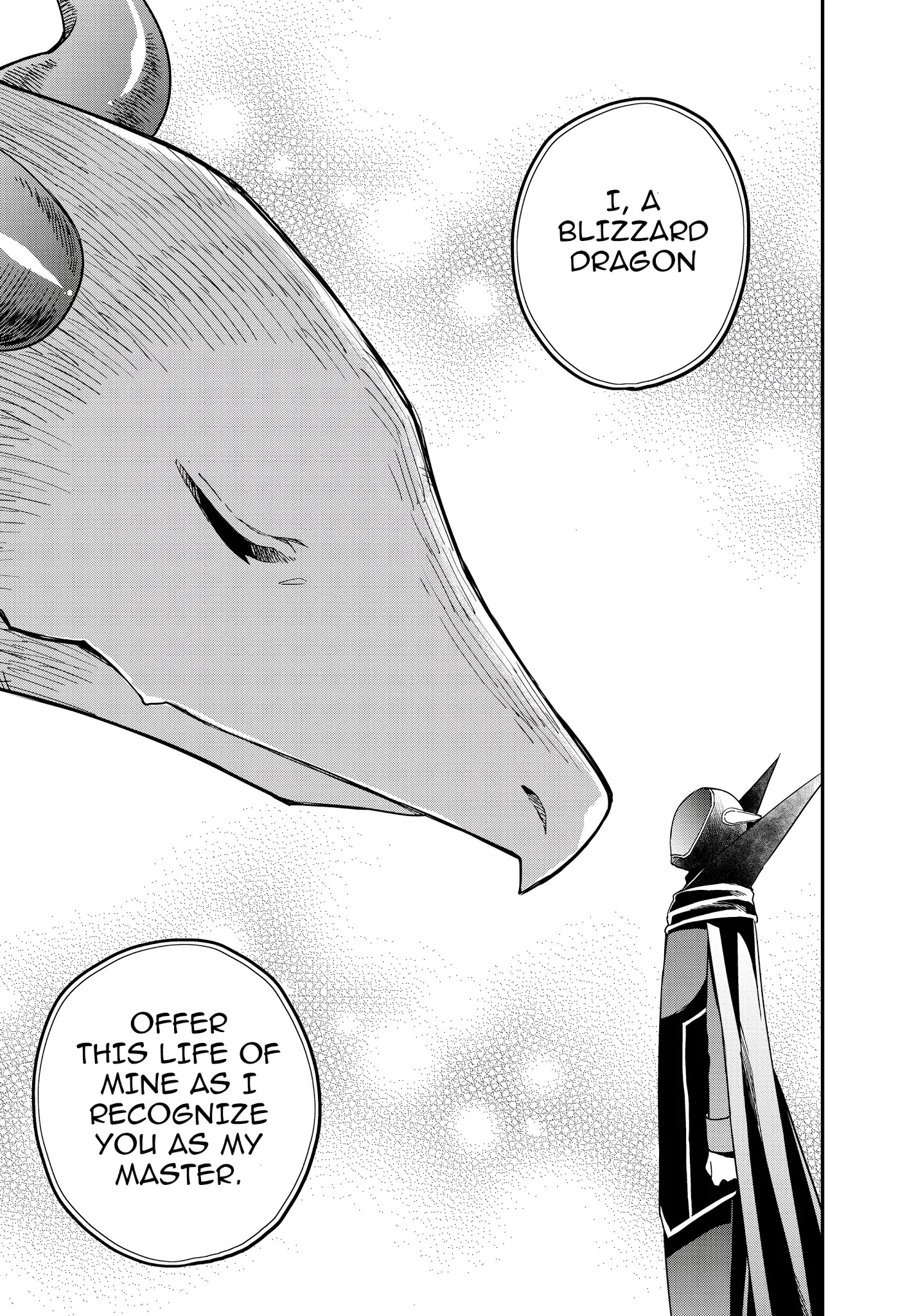 Jitsu wa Ore, Saikyou Deshita? Chapter 19.2 page 14 - Chapter 19.2: The Blizzard Dragon (Part 2)