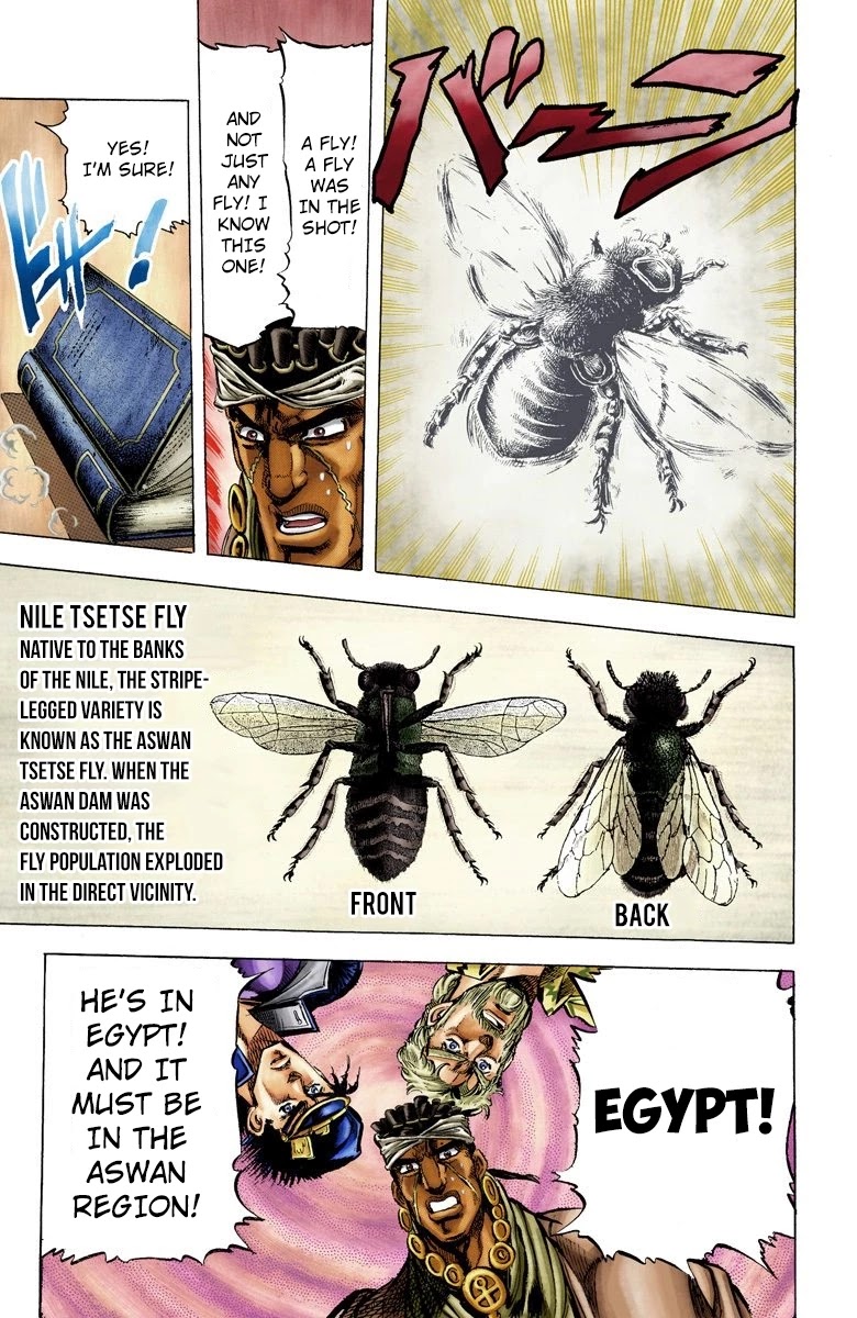 JoJo's Bizarre Adventure Part 3 - Stardust Crusaders (Official Colored) Chapter 8 page 17 - Chapter 8: The Power of a 'Stand'