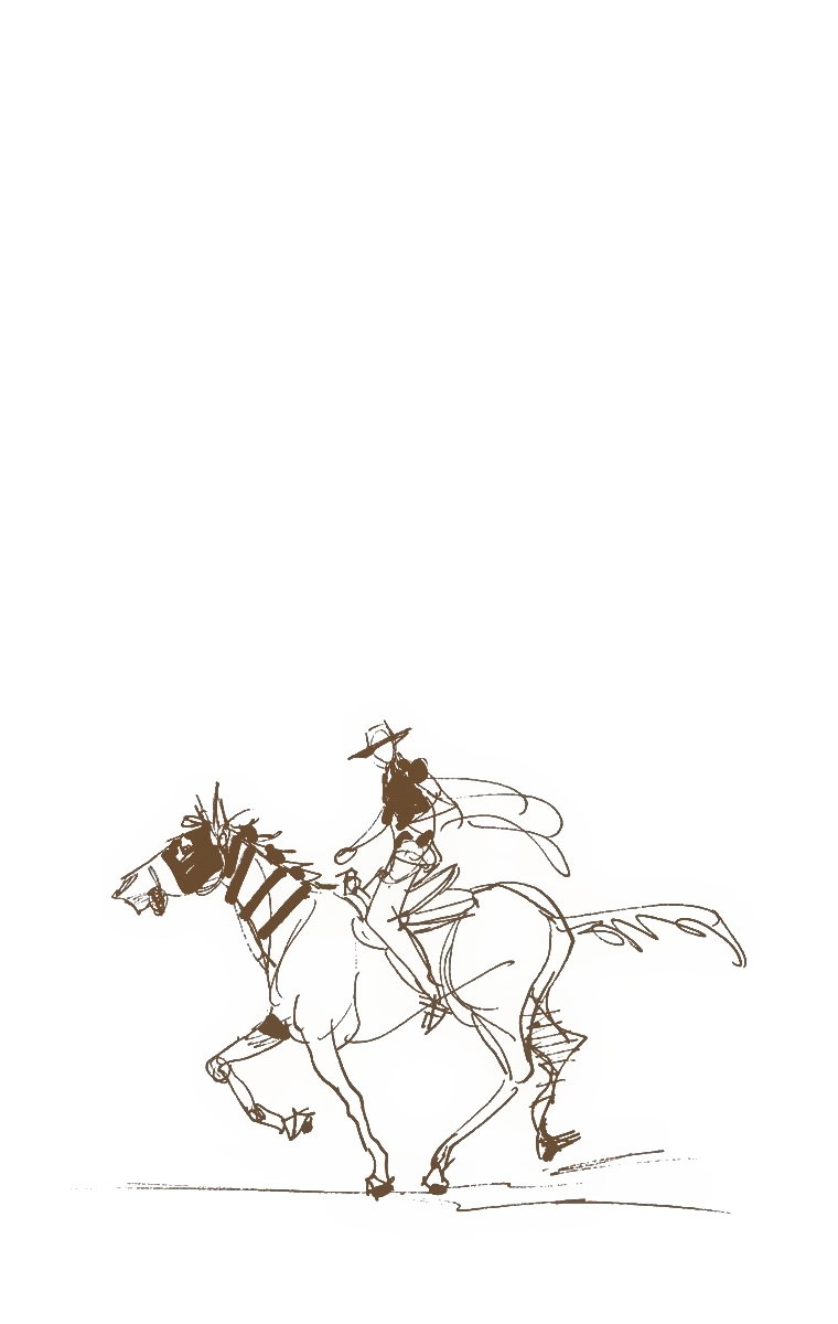 JoJo's Bizarre Adventure Part 7 - Steel Ball Run (Official Colored) Chapter 7 page 1 - Chapter 7: Pocoloco and Sandman