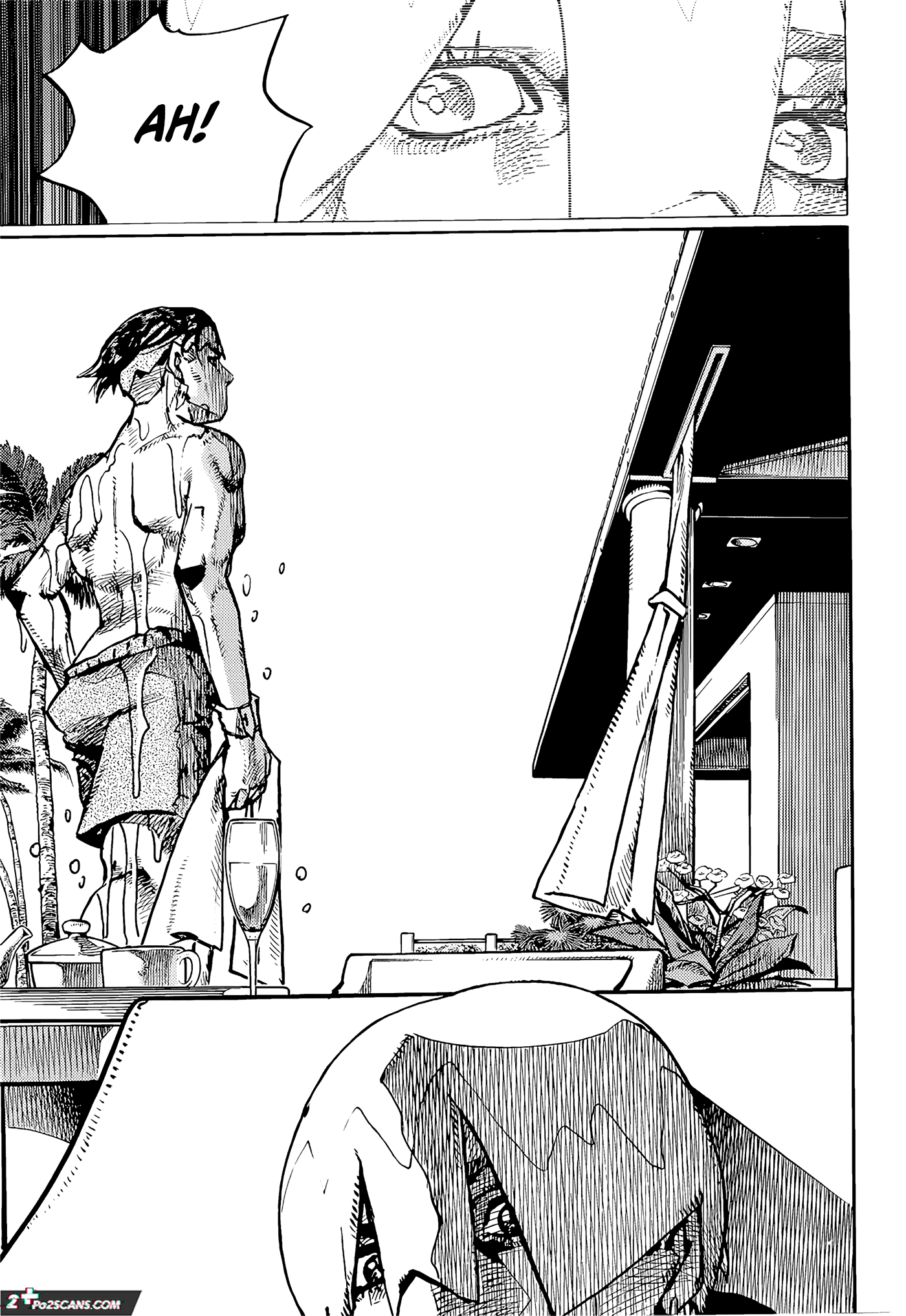JoJo's Bizarre Adventure Part 9 - The JOJOLands Chapter 3 page 14 - Chapter 3: Search for the Dia..