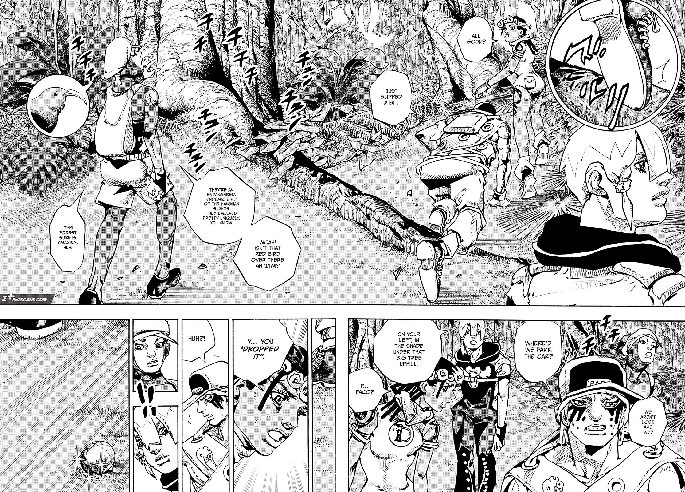 JoJo's Bizarre Adventure Part 9 - The JOJOLands Chapter 6 page 3 - Chapter 6: Battle In The Jungle