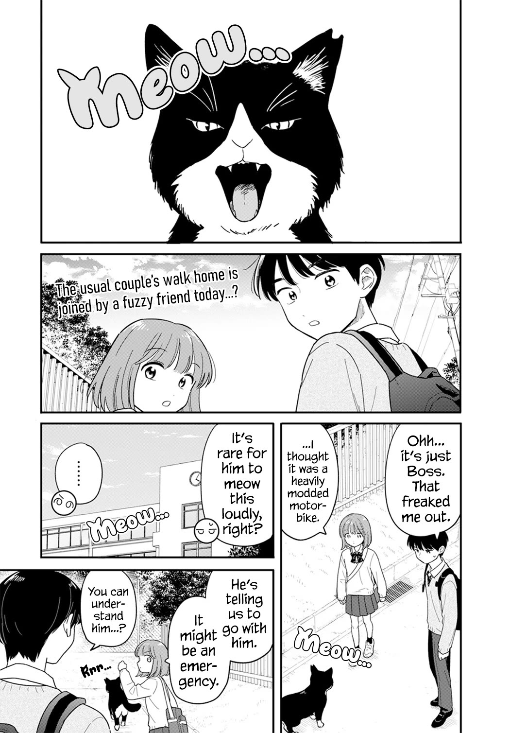 Journey Home After School Chapter 58 page 2 - Chapter 58: Let's Welcome a Kitten